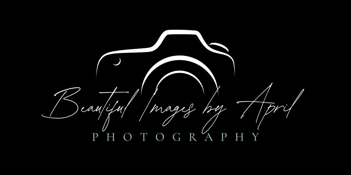Professional Headshot Photographer Sarasota